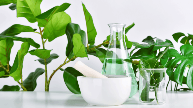 The Botanical Extract Market 2025: Trends Shaping the Future of Natural Supplements